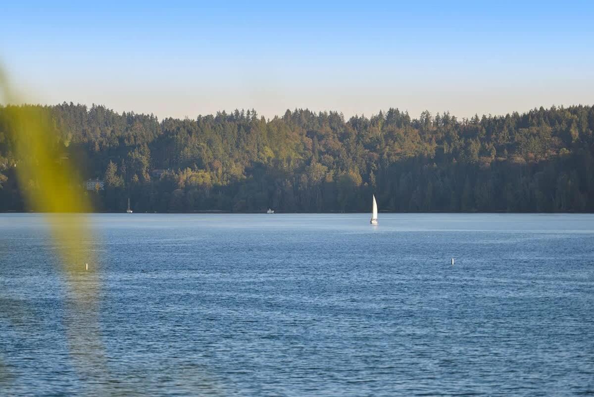 Salishan Chief *